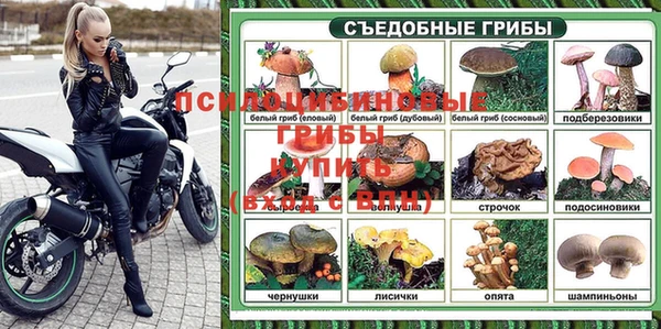 винт Абинск