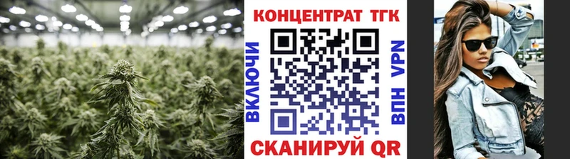 дарнет шоп Никольск ТГК THC oil